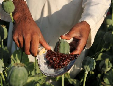 Αφγανιστάν: Η πρωτεύουσα της παραγωγής ηρωίνης (βίντεο)